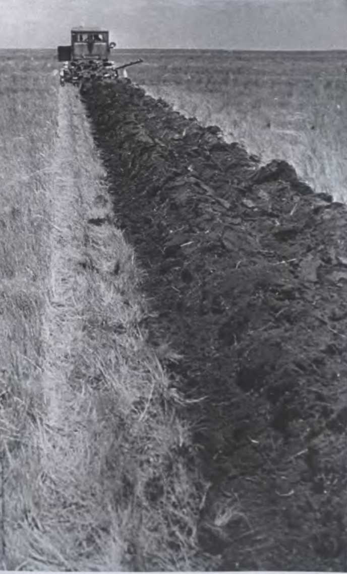 Иллюстрация к книге — Против всех [i_045.jpg]