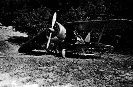 Иллюстрация к книге — Иной 1941. От границы до Ленинграда [i_018.jpg]