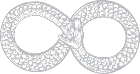 Иллюстрация к книге — Внутренняя инженерия. Путь радости. Практическое руководство от йога [_2.jpg]