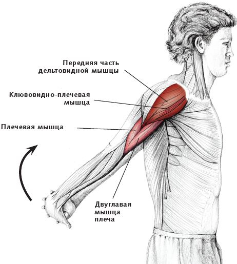 Станция Мышца, Московская ЖД