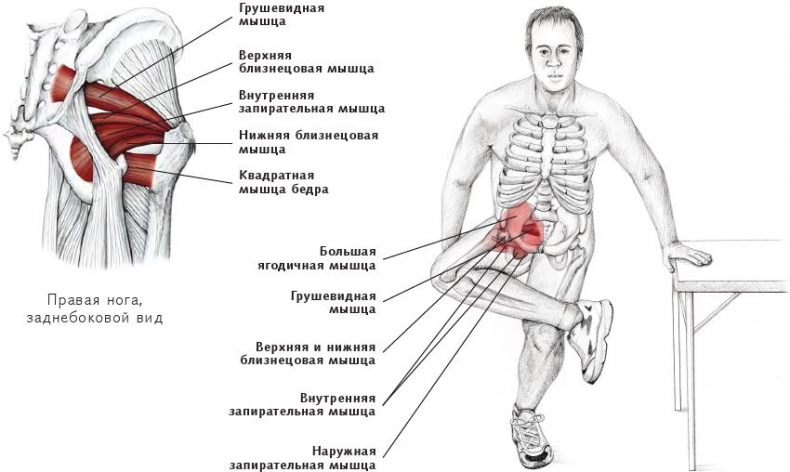 Порно фигура груша (82 фото)