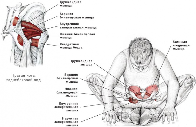 Секс фигура груша (92 фото)