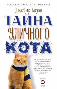 Книга « Тайна уличного кота » - читать онлайн