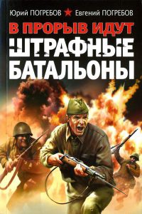Книга « В прорыв идут штрафные батальоны » - читать онлайн