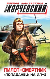 Пилот-смертник. "Попаданец" на Ил-2