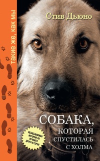 Книга « Собака, которая спустилась с холма. Незабываемая история Лу, лучшего друга и героя » - читать онлайн