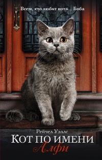 Книга « Кот по имени Алфи » - читать онлайн