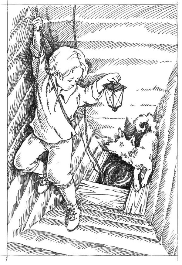 Многоразовая раскраска «Сказки», 12 стр. для детского сада от ТД Детство