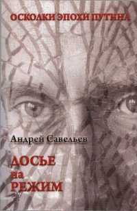 Книга « Осколки эпохи Путина. Досье на режим » - читать онлайн