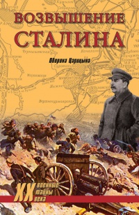 Книга « Возвышение Сталина. Оборона Царицына » - читать онлайн