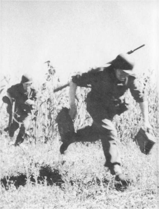 Wehrmacht.   III 