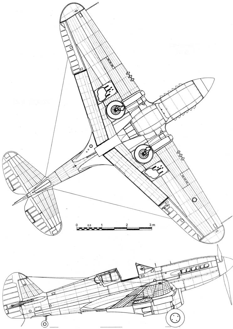 Curtiss P-40.  3