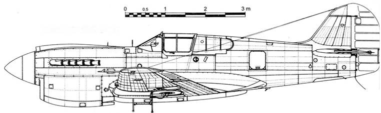 Curtiss P-40.  3