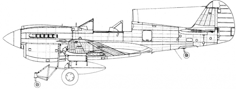 Curtiss P-40.  3