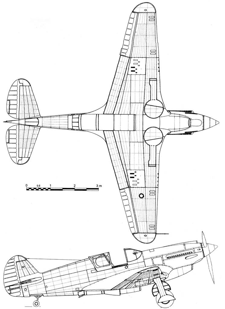 Curtiss P-40. 