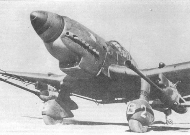 Ju 87 Stuka 