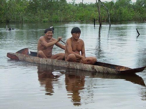 Секс у индейцев амазонии. Смотреть секс у индейцев амазонии онлайн