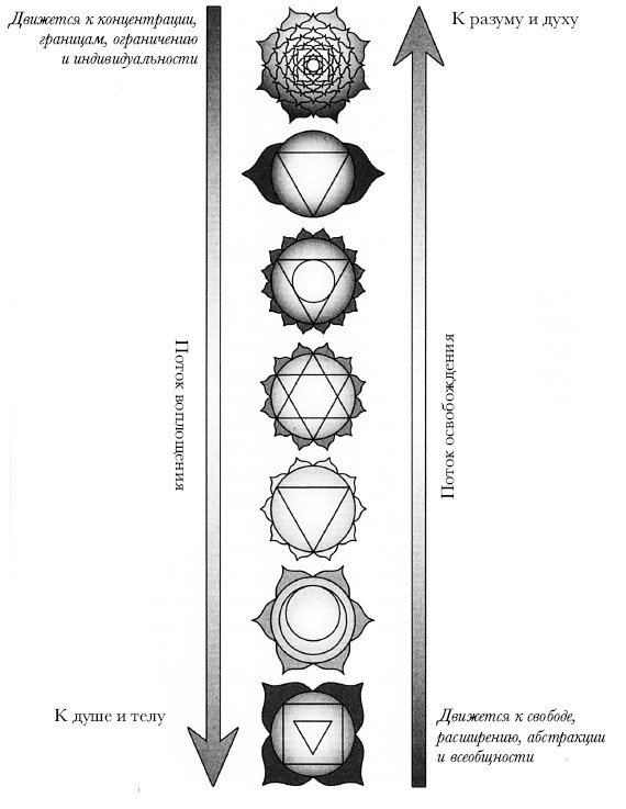 Реальны ли чакры? — Эрос и Космос