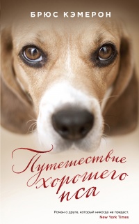 Книга « Путешествие хорошего пса » - читать онлайн
