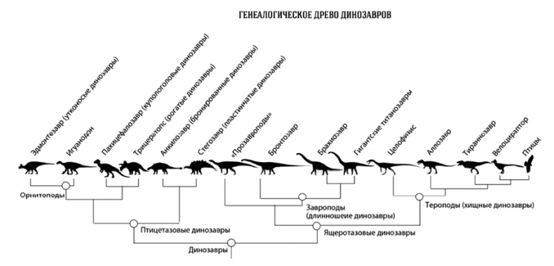 Время динозавров. Новая история древних ящеров