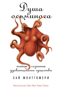 Книга « Душа осьминога. Тайны сознания удивительного существа » - читать онлайн