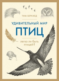 Книга « Удивительный мир птиц » - читать онлайн