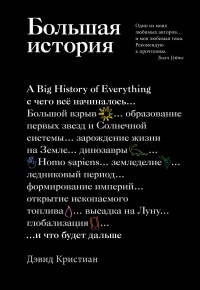 Книга « Большая история » - читать онлайн