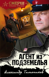 Книга « Агент из подземелья » - читать онлайн