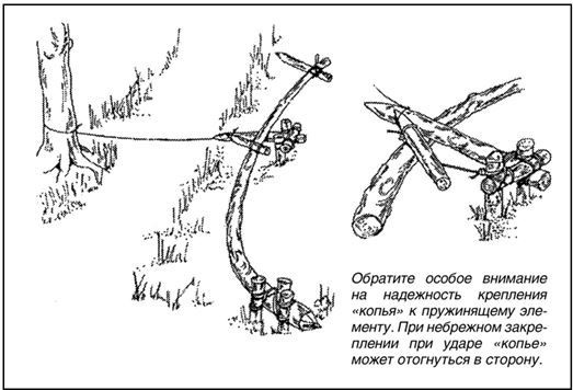 Ловушка Силок-1 для хищных птиц и сов