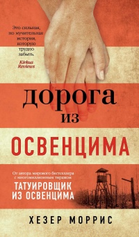 Книга « Дорога из Освенцима » - читать онлайн