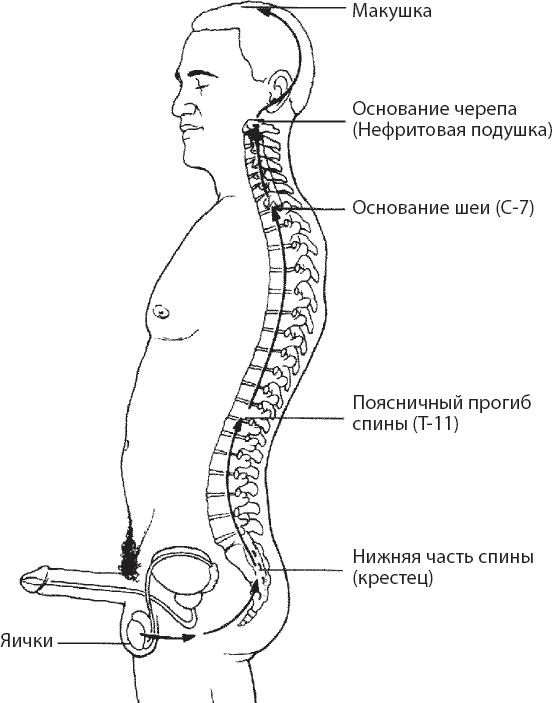 Что такое сублимация и как она помогает договориться с эмоциями?