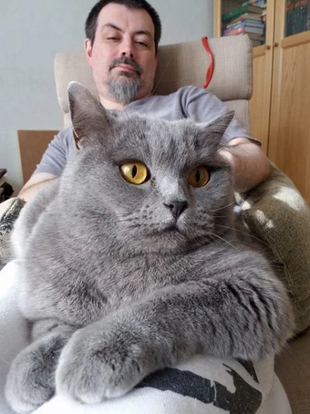 Сергей Волков