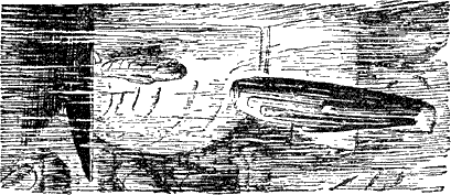 Иллюстрация к книге — Изгнание владыки [Expulsion-of-the-lord-12.png]