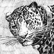 Иллюстрация к книге — Нефритовые четки [Jade-beads-21.png]