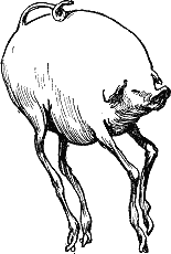 Иллюстрация к книге — Звезда КЭЦ [Star-Catz-007.png]