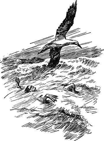 Иллюстрация к книге — Человек-амфибия [Amphibian-Man-005.png]