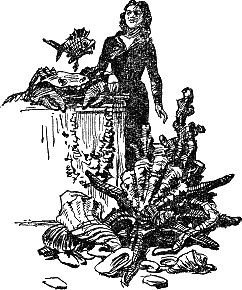 Иллюстрация к книге — Человек-амфибия [Amphibian-Man-006.png]