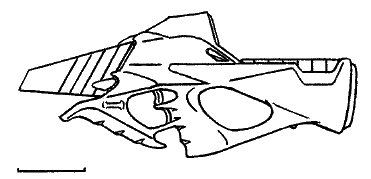 Иллюстрация к книге — Линия Грез [Line-Dreams-14.png]