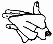 Иллюстрация к книге — Завтрак для чемпионов, или Прощай, черный понедельник [Breakfast-of-Champions-106.png]