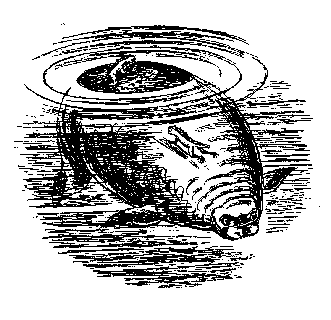 Иллюстрация к книге — Запад Эдема [West-of-Eden-06.png]