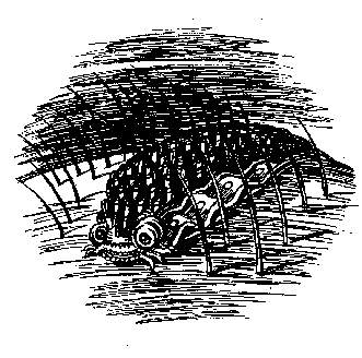 Иллюстрация к книге — Запад Эдема [West-of-Eden-18.png]