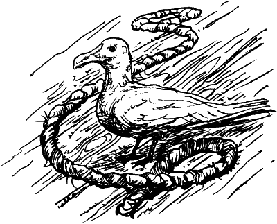 Иллюстрация к книге — Волкодав [Wolfhound-13.png]