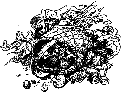 Иллюстрация к книге — Волкодав [Wolfhound-18.png]