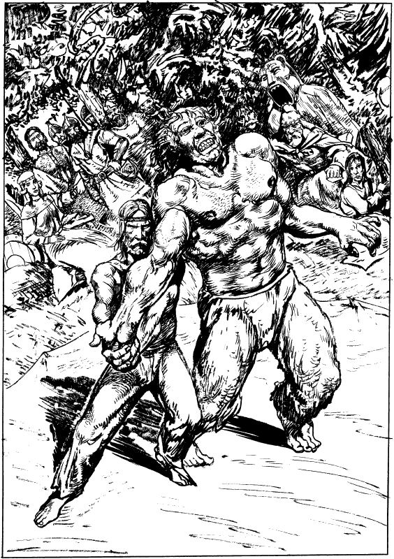 Иллюстрация к книге — Волкодав [Wolfhound-24.png]