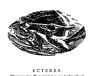 Иллюстрация к книге — Зима в Эдеме [Winter-in-Eden-3.png]