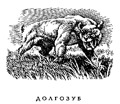 Иллюстрация к книге — Возвращение в Эдем [Return-to-Eden-2.png]