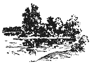 Иллюстрация к книге — Саша и Шура [Sasha-and-Schur-22.png]