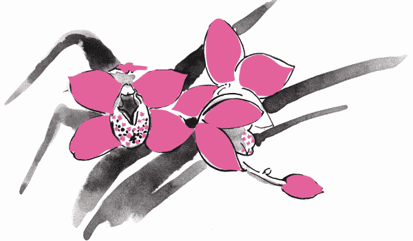 Иллюстрация к книге — Любовь - чудесная страна! [Love-Beautiful-Country-05.png]