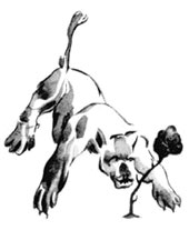 Иллюстрация к книге — Маленький принц [Little-Prince-21.jpg]