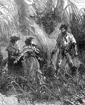 Иллюстрация к книге — Похитители бриллиантов [The-kidnappers-of-diamonds-46.jpg]